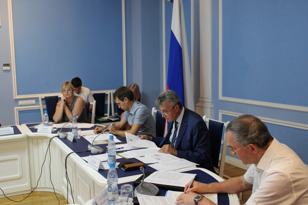 Заседание Совета Общественной палаты Ростовской области