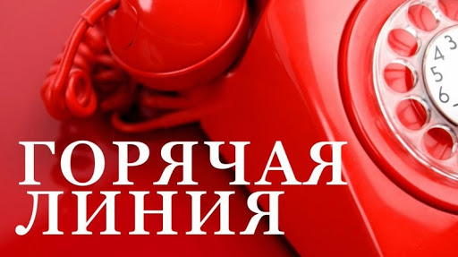 Общественная палата Ростовской области открывает информационно-справочную «Горячую линию»