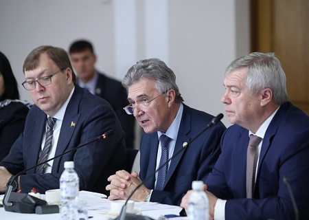 Итоговое заседание Общественной палаты Ростовской области в 2022 году!