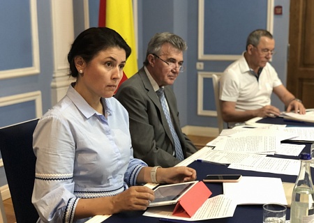 Заседание Совета Общественной палаты Ростовской области
