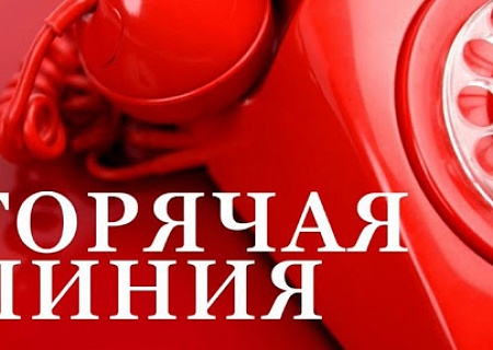 Общественная палата Ростовской области открывает информационно-справочную «Горячую линию»