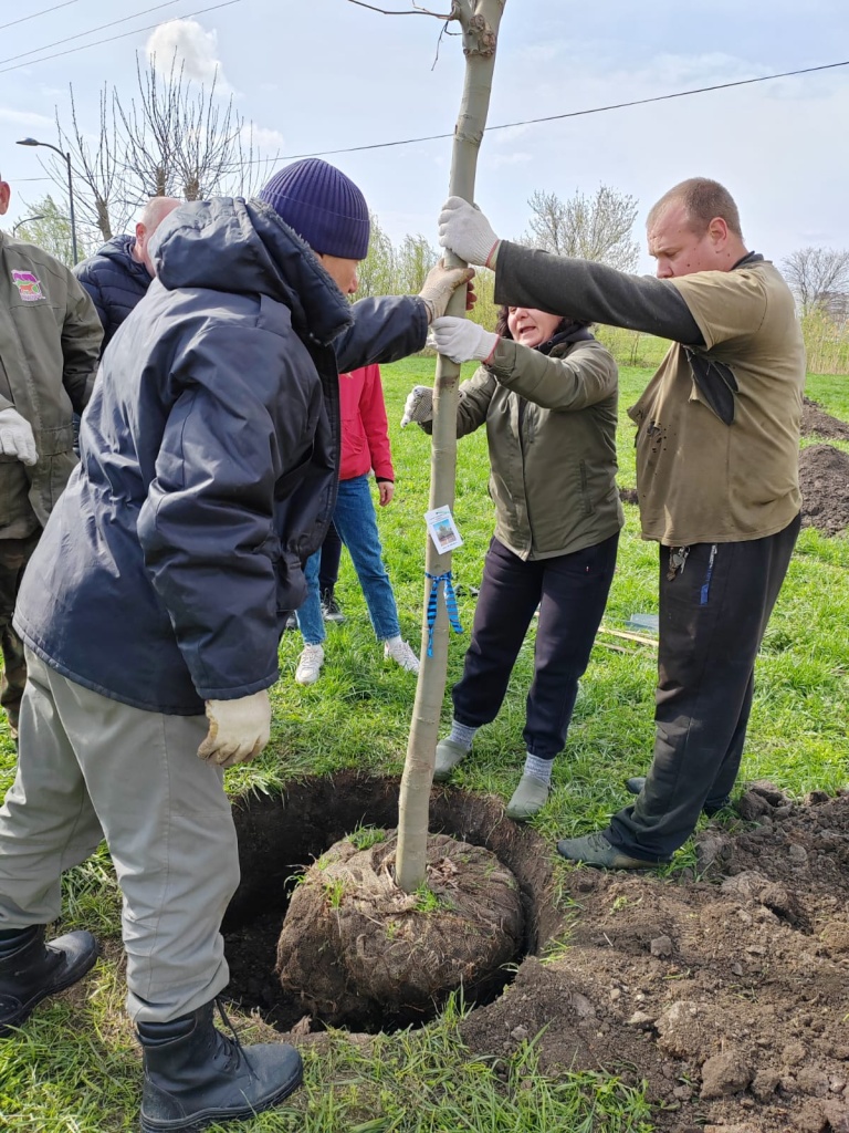 Изображение WhatsApp 2025-05-06 в 14.37.09_96deb5d1.jpg