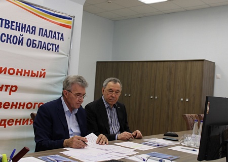 Онлайн совещание с Общественной палатой Российской Федерации 