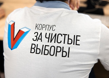 Донские наблюдатели приняли участие в межрегиональном онлайн-семинаре в рамках подготовки к Всероссийскому конгрессу наблюдателей