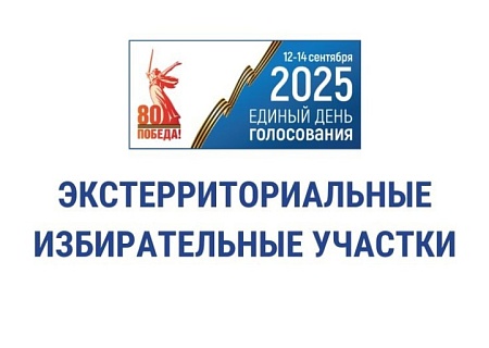 Ростовчане смогут проголосовать на выборах Губернатора находясь в Москве