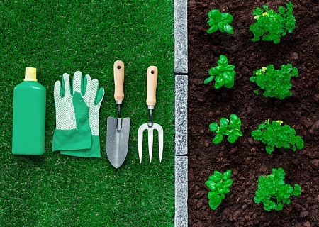 «Городское садоводство и огородничество: лучшие практики, барьеры и перспективы».