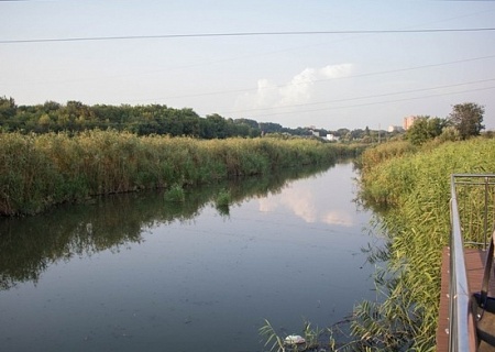 Рабочее совещание экоактивистов проекта «Парк Темерник»